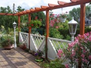 Pergola